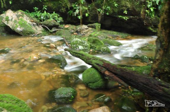 Riacho corta a Mata Atlântica na região de Antonina, litoral do Paraná